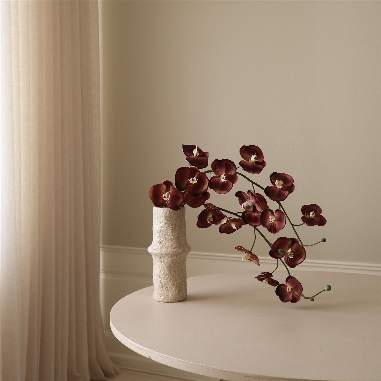 Purple Grand Orchid Flower Blomster