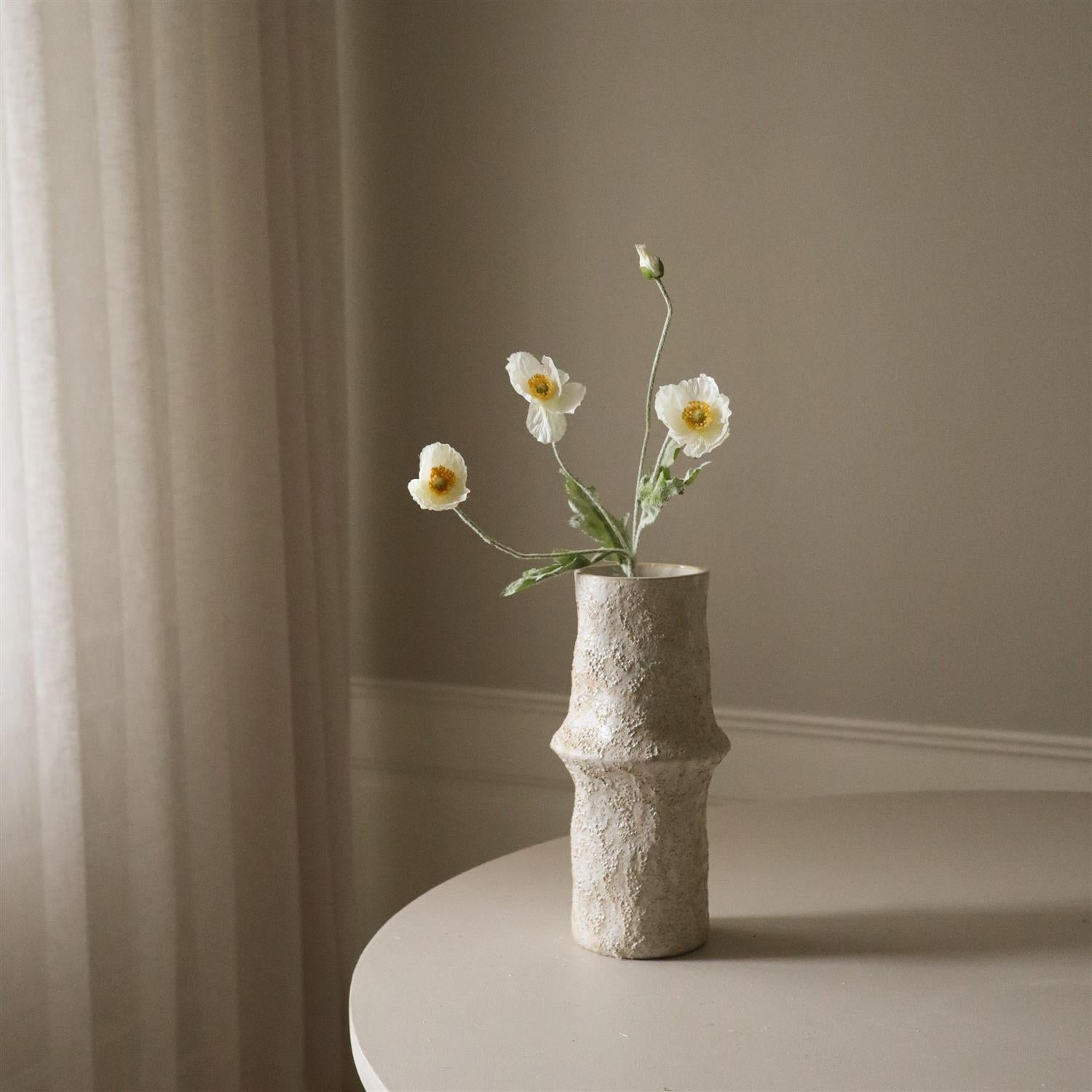 White Poppy Flower Blomster