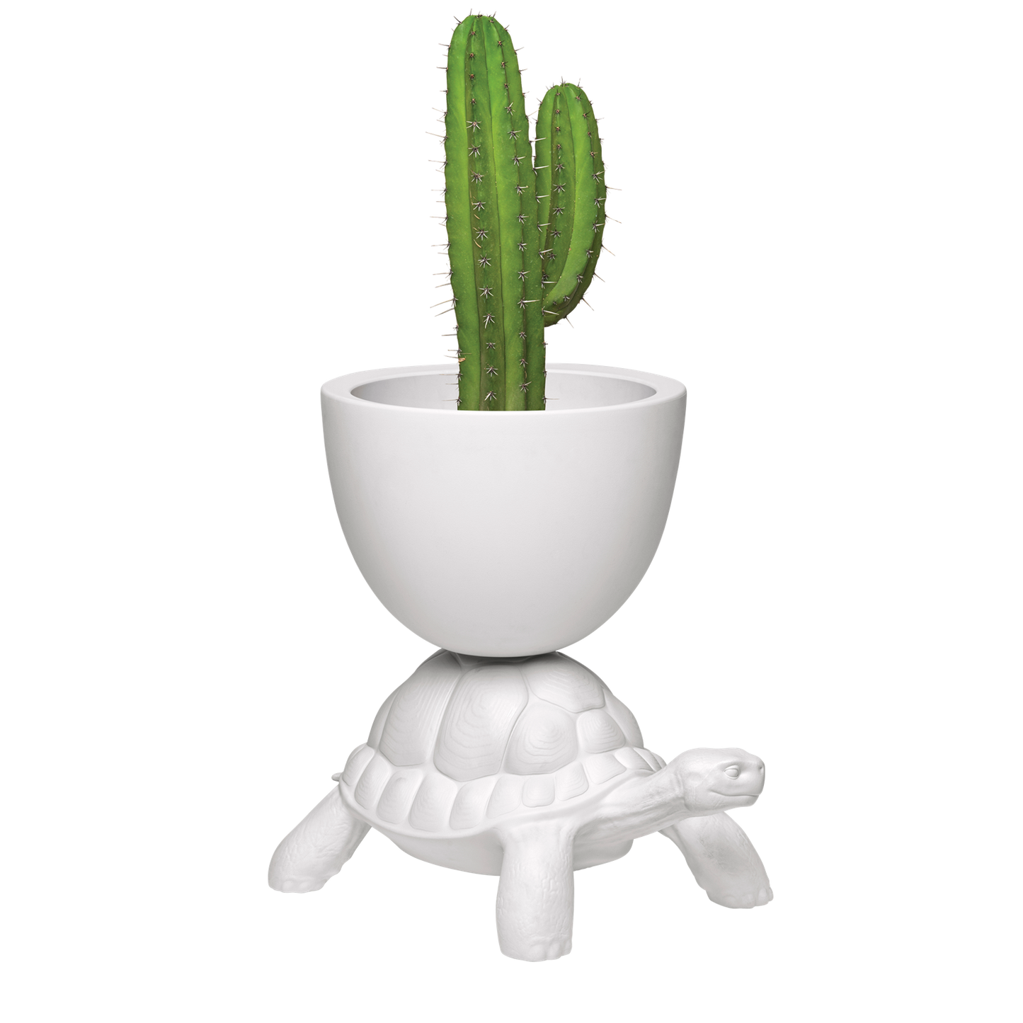 Turtle carry planter & champagen cooler hvit Dekor
