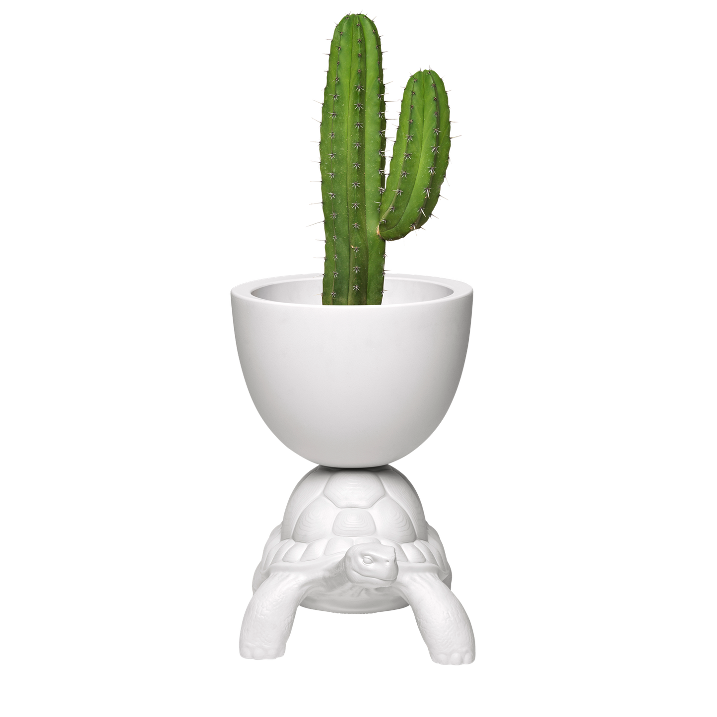 Turtle carry planter & champagen cooler hvit Dekor