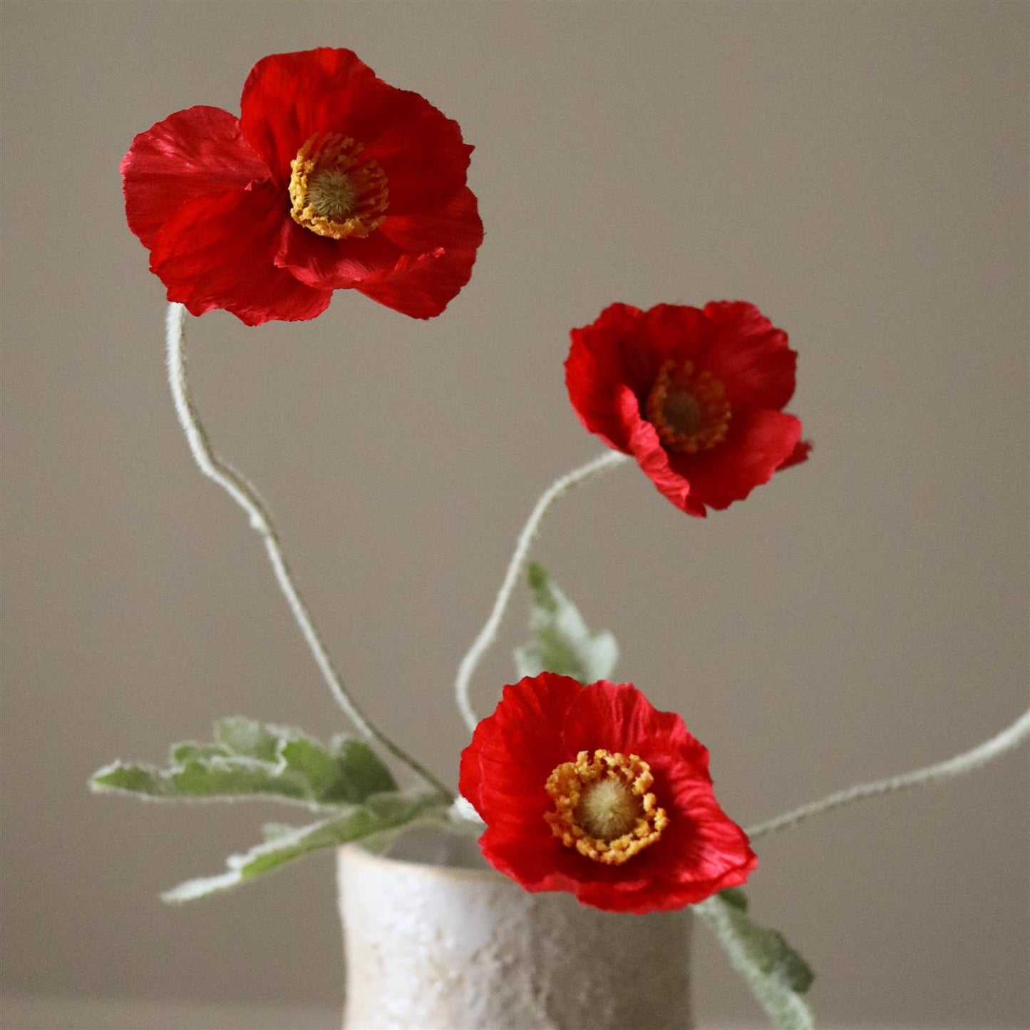 Red Poppy Flower Blomster