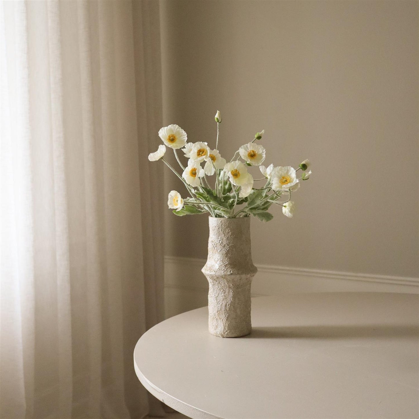 White Poppy Flower Blomster