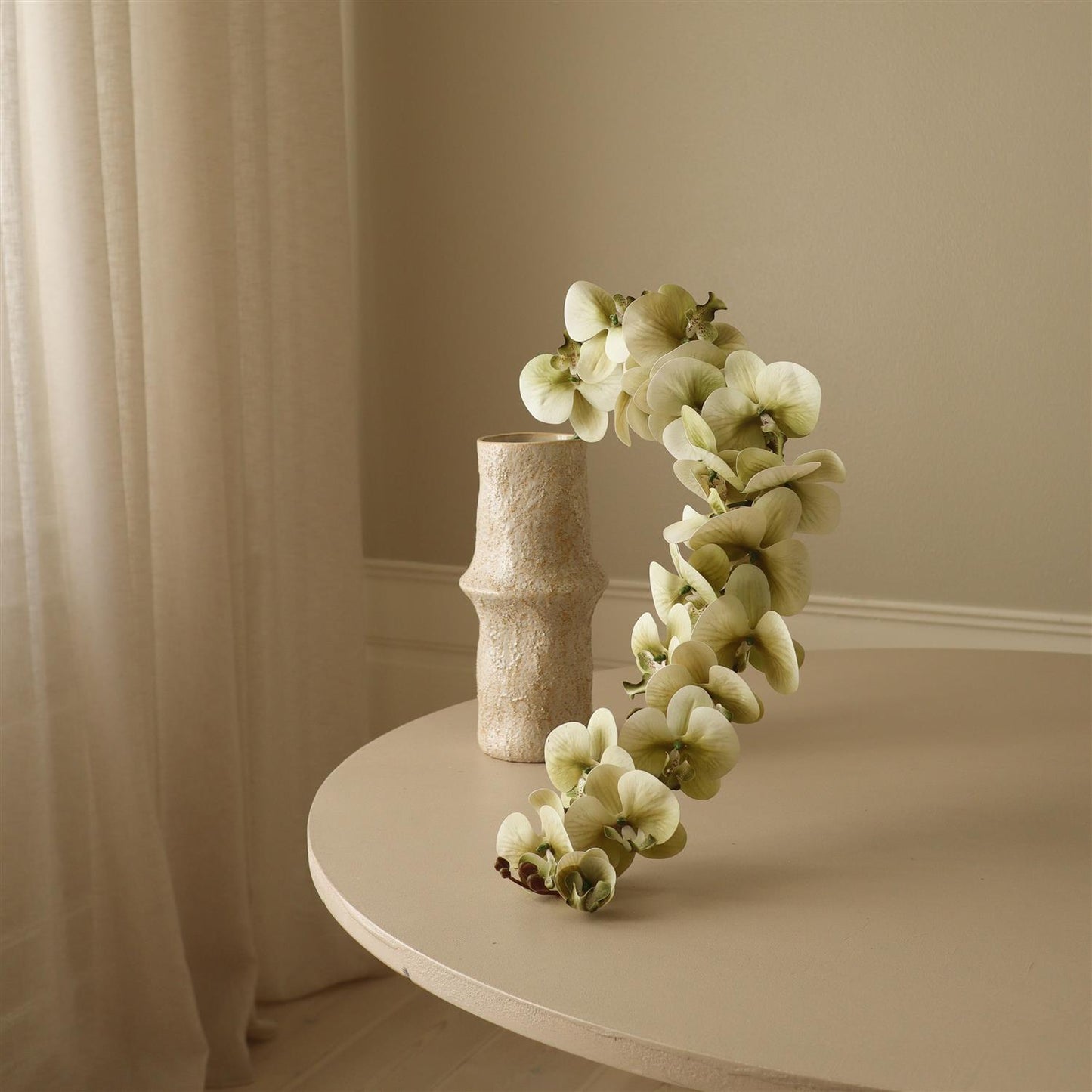 Green Majestic Orchid Flower Blomster