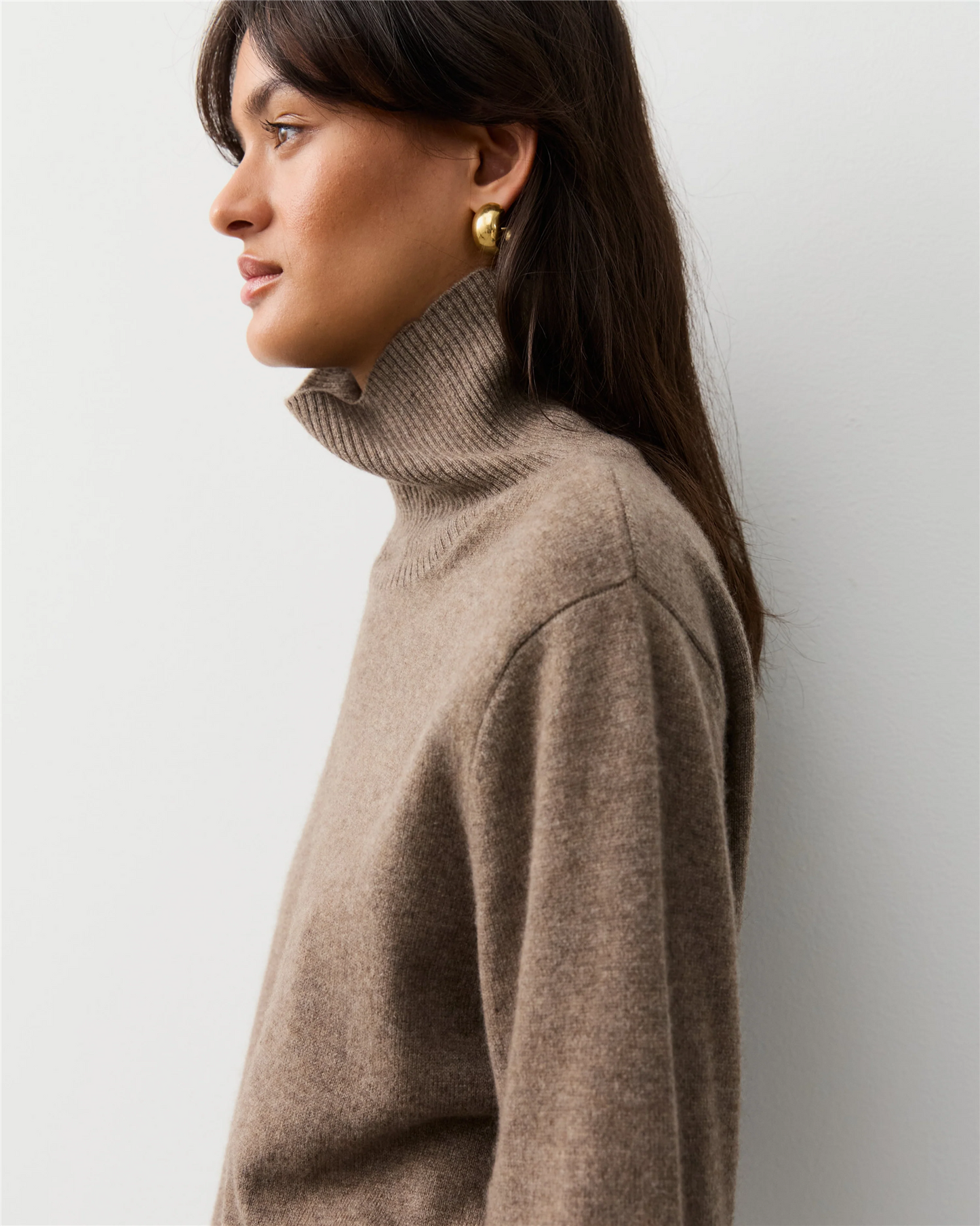 The Slim Turtleneck Bracken
