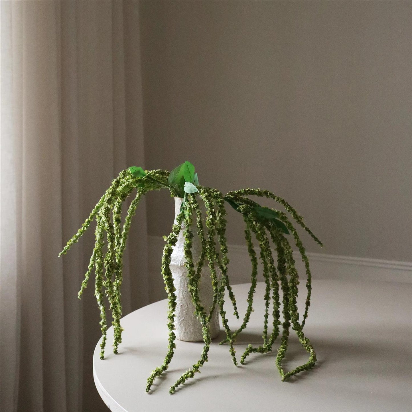 Green Amaranthus Flower Blomster