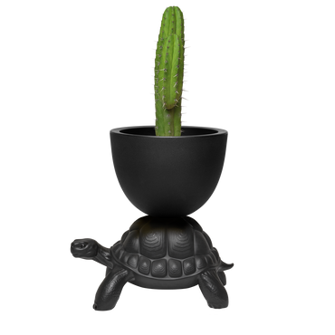 TURTLE CARRY PLANTER AND CHAMPAGNE COOLER Black Dekor