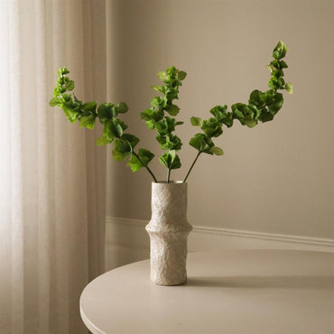 Green Bells of Ireland Flower Blomster