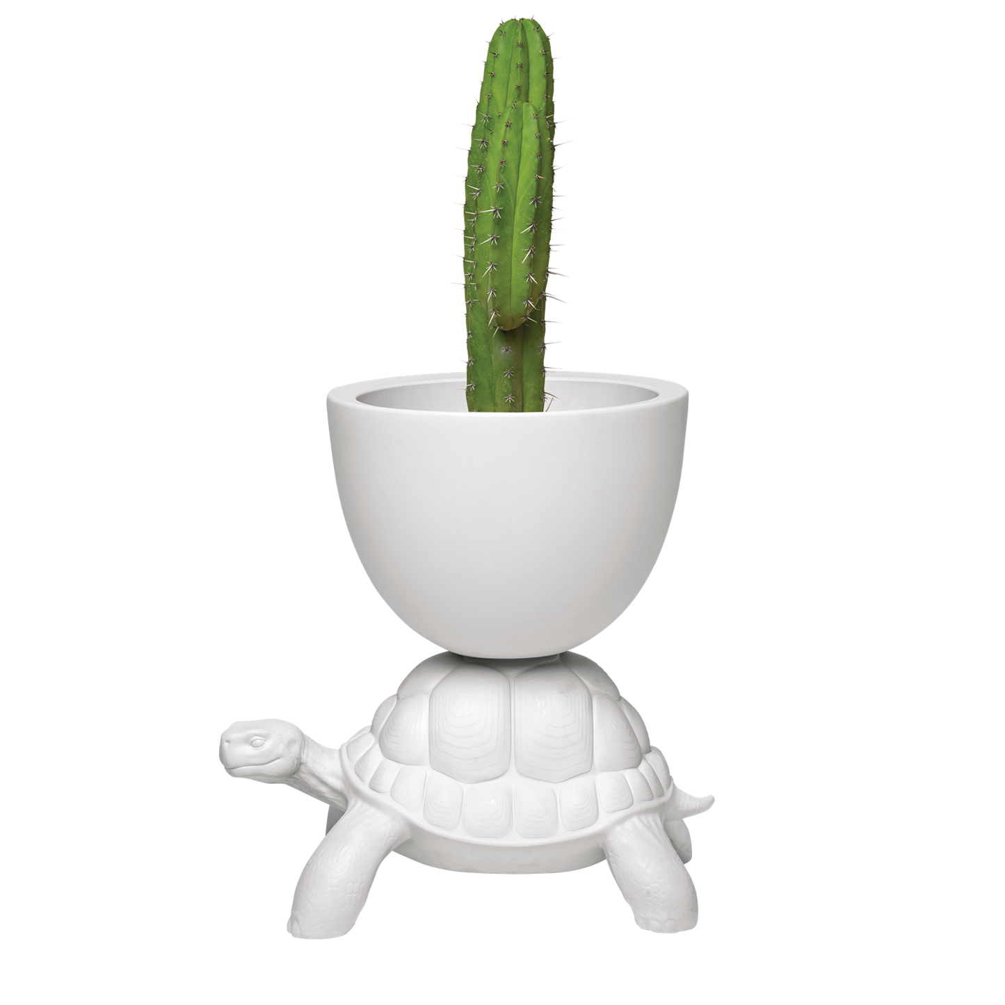 Turtle carry planter & champagen cooler hvit Dekor