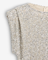 Sunset Sequin Top Silver Bluser