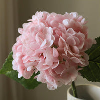 Light Pink Hydrangea Flower Blomster