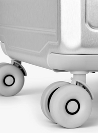 Day Tonal 28" Trunk Silver Kofferter