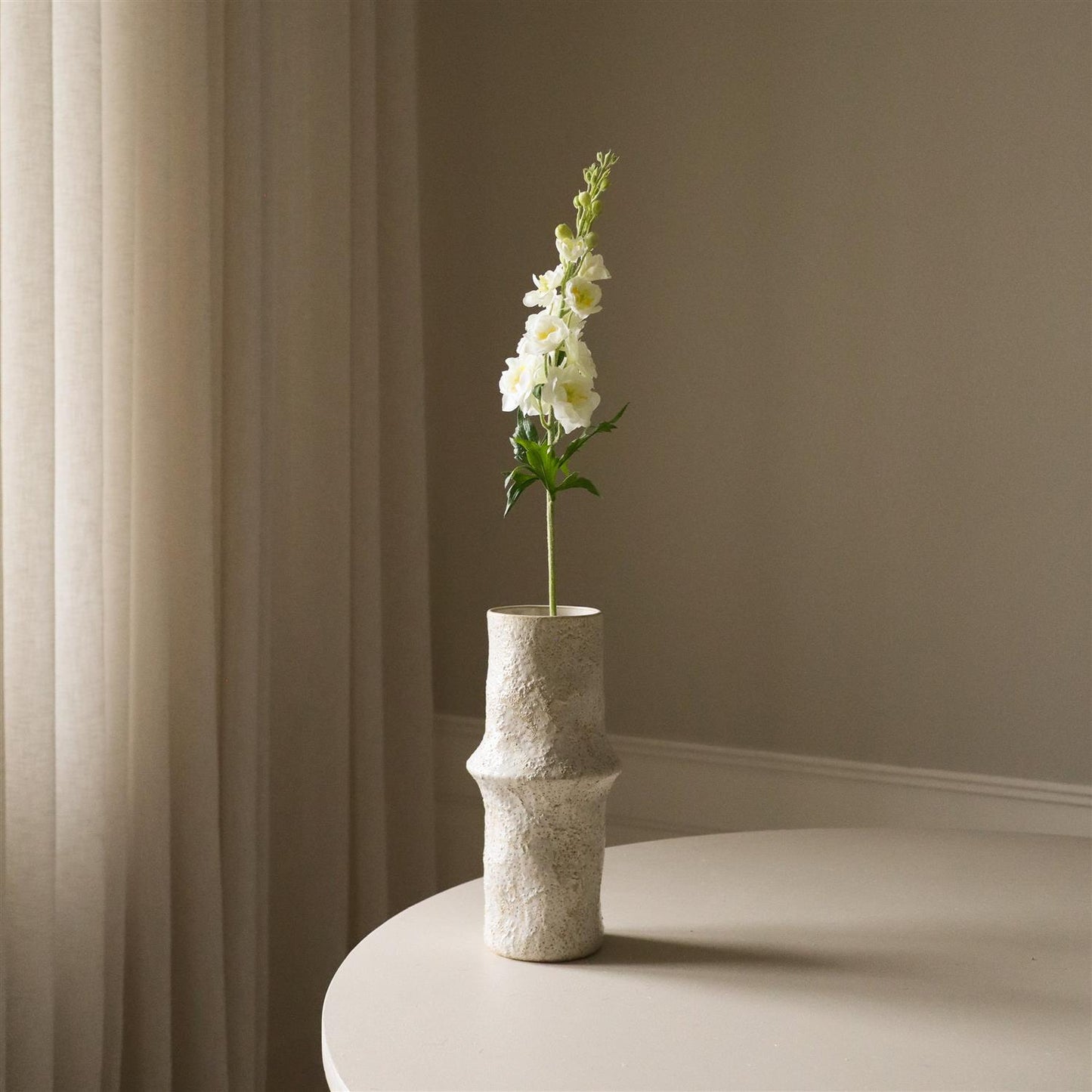 White Delphinium Flower Blomster