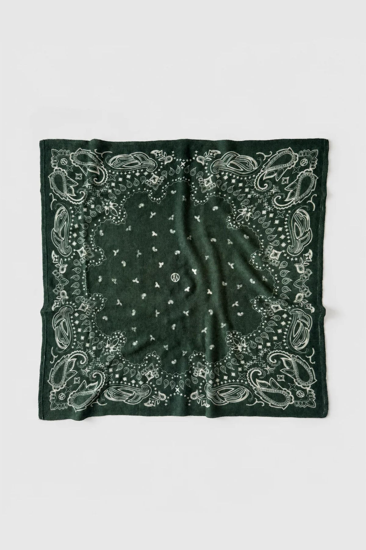 CASHMERE PAISLEY SCARF - GREEN