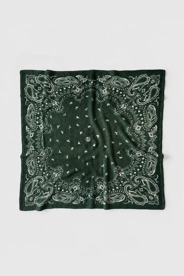 CASHMERE PAISLEY SCARF - GREEN
