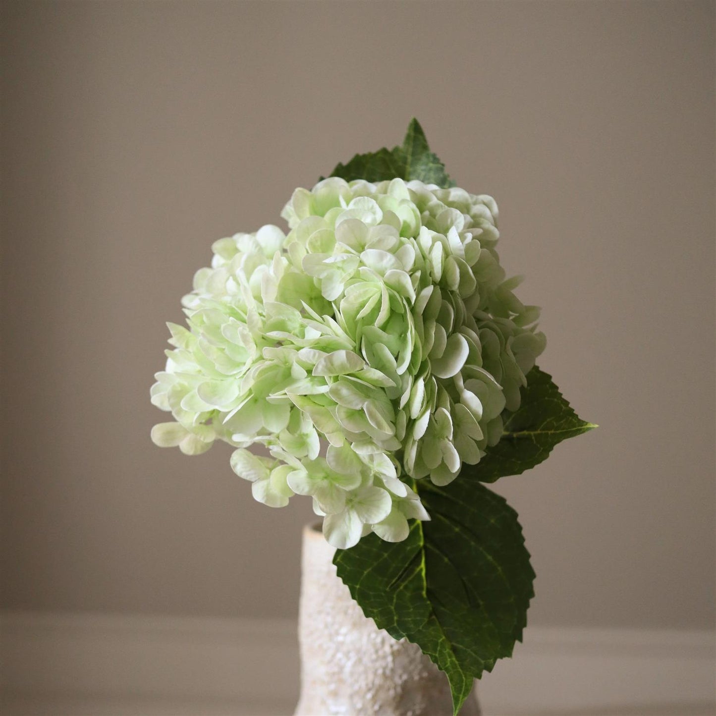 Light Green Hydrangea Flower Blomster
