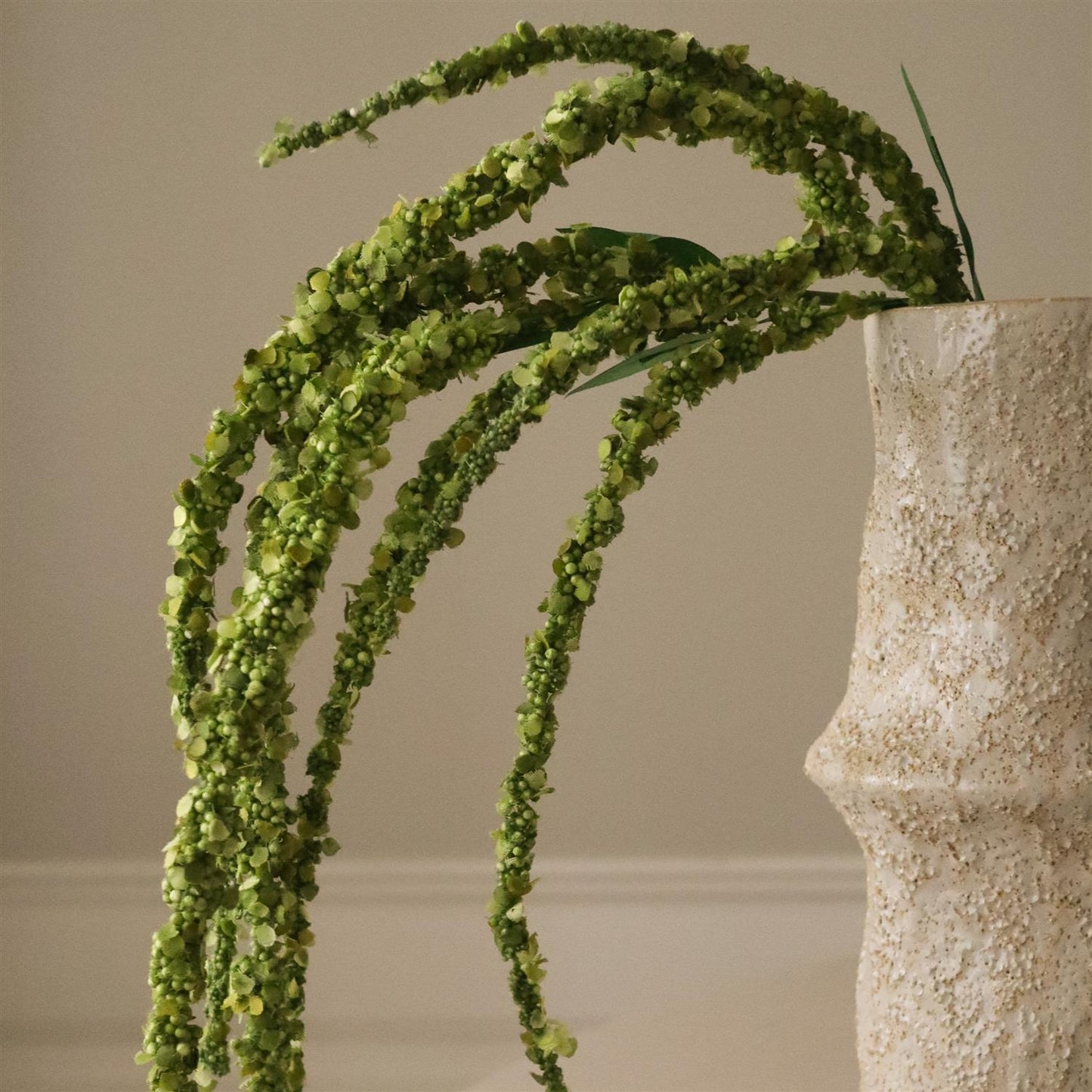 Green Amaranthus Flower Blomster