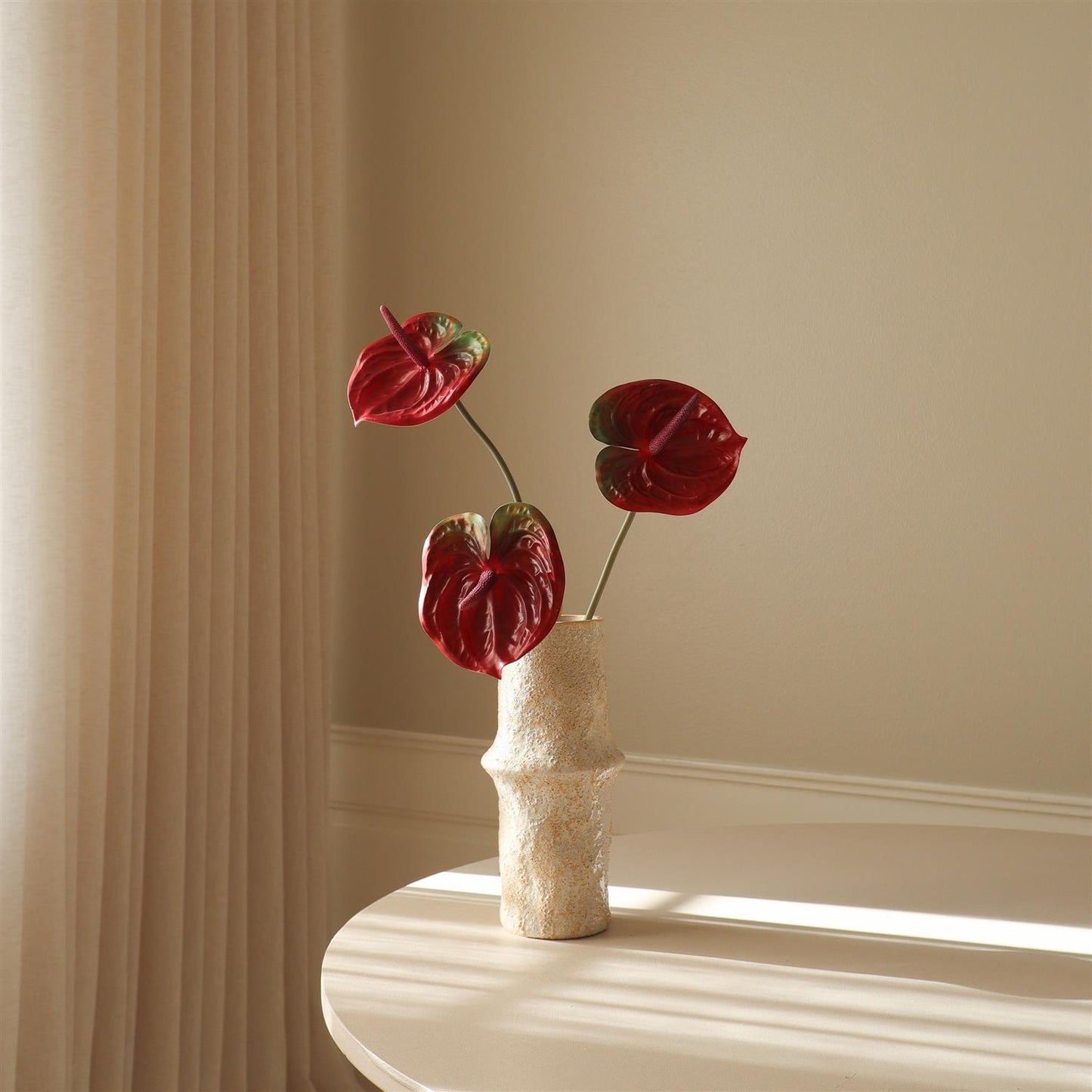 Dark Red Anthurium Flower Blomster