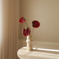 Dark Red Anthurium Flower Blomster