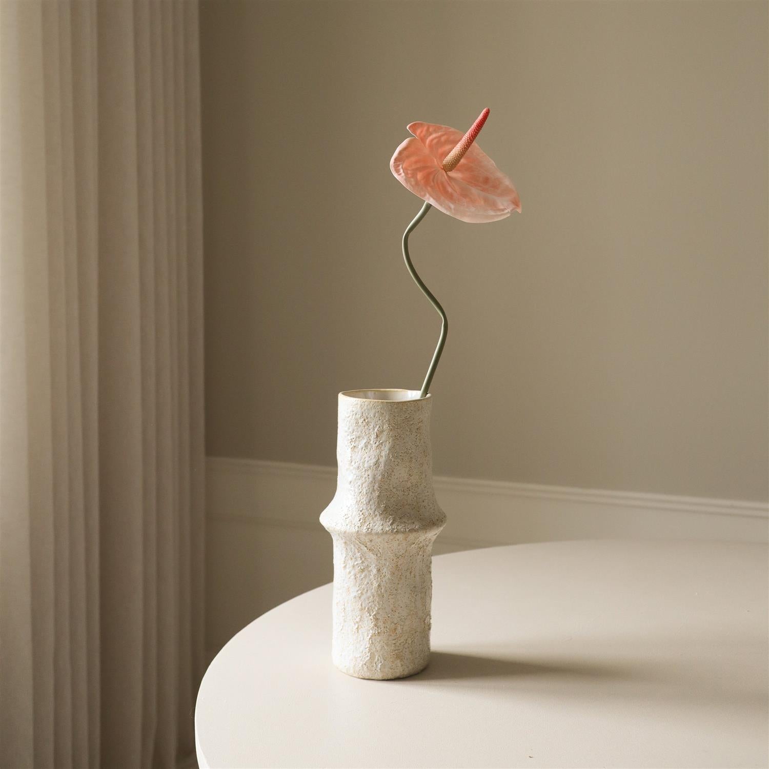 Coral Anthurium Flower Blomster
