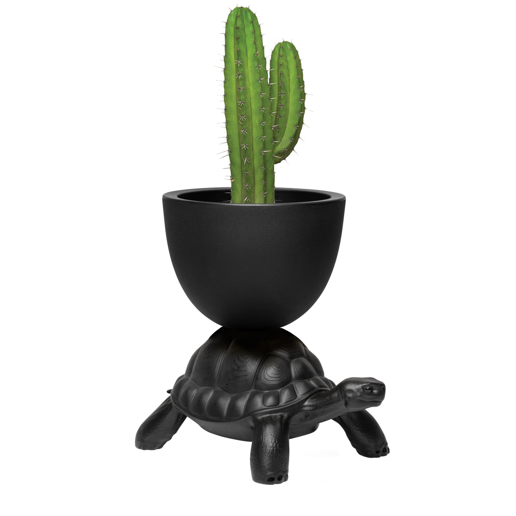 TURTLE CARRY PLANTER AND CHAMPAGNE COOLER Black Dekor