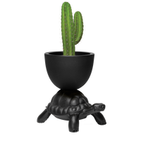 TURTLE CARRY PLANTER AND CHAMPAGNE COOLER Black Dekor