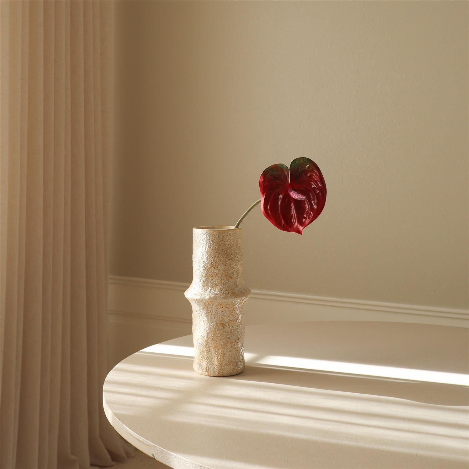 Dark Red Anthurium Flower Blomster