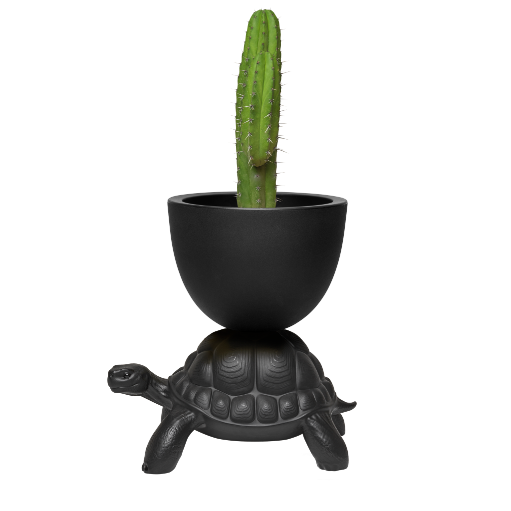 TURTLE CARRY PLANTER AND CHAMPAGNE COOLER Black Dekor