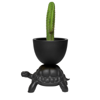 TURTLE CARRY PLANTER AND CHAMPAGNE COOLER Black Dekor