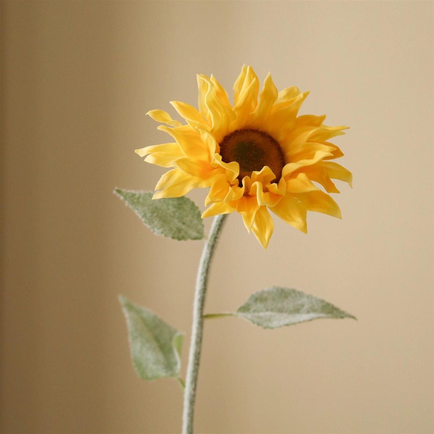 Yellow Pacino Sunflower Blomster