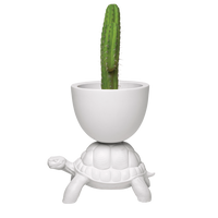 Turtle carry planter & champagen cooler hvit Dekor