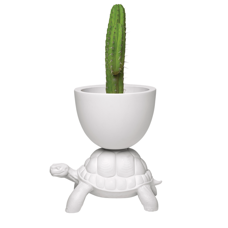 Turtle carry planter & champagen cooler hvit Dekor